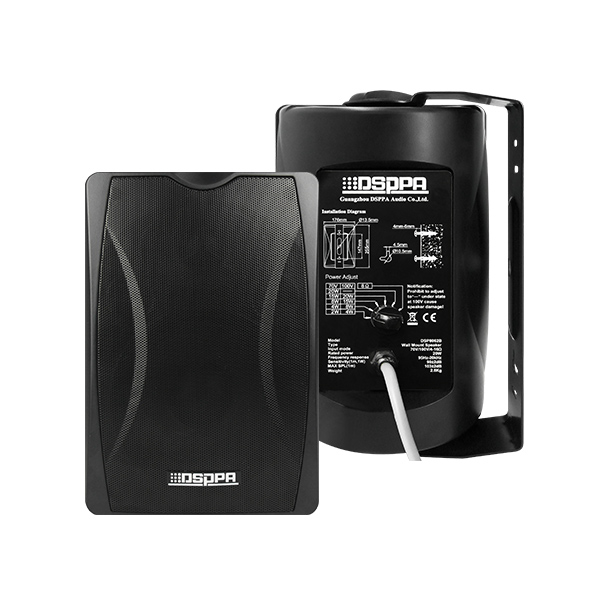 DSP8063B مكبر صوت مثبت على الحائط بقوة 30 وات مع منفذ طاقة